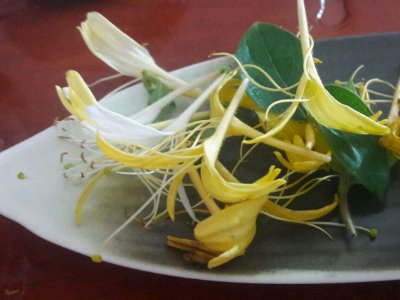 喝茶治口臭嗎，什么茶治口臭好？