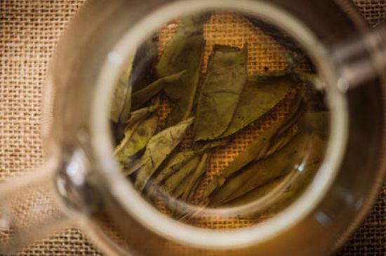 苦丁茶副作用，苦丁可以經(jīng)常喝嗎？