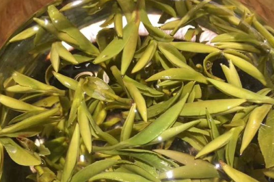 八大茶系都有哪幾種，八大茶系都是什么名字