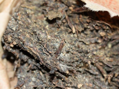長(zhǎng)期飲用黑茶的副作用，黑茶的功效與作用