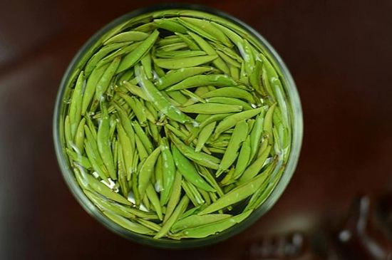 雀舌茶什么人不能喝，雀舌茶的功效與禁忌