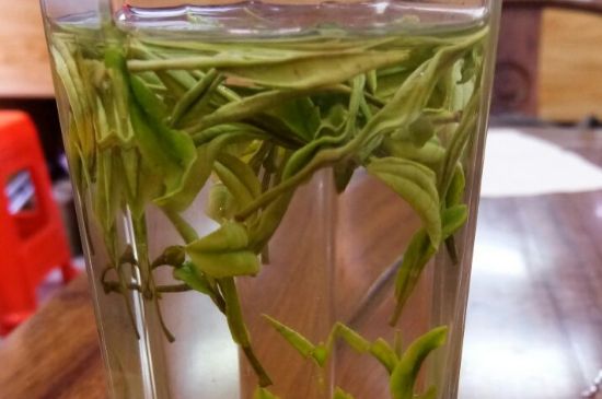 云霧綠茶的功效及禁忌，哪些人不適合喝云霧茶