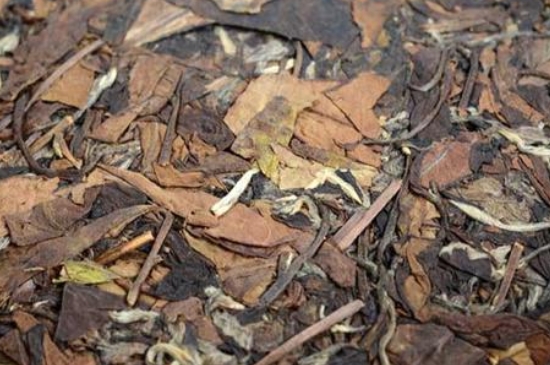 福鼎白茶能長(zhǎng)時(shí)間悶泡嗎，老白茶可以悶著喝嗎？