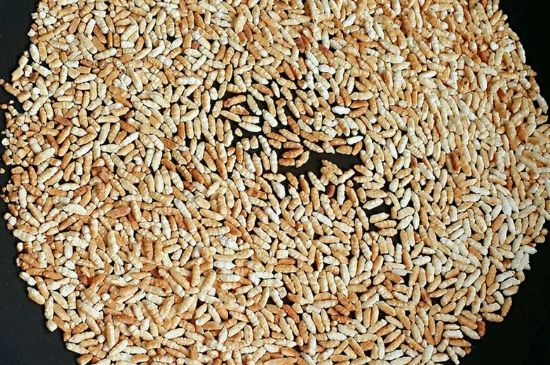 玄米茶是紅茶嗎，玄米茶怎么喝