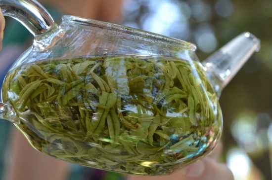 新手學(xué)泡茶的基本常識，從零開始學(xué)泡茶