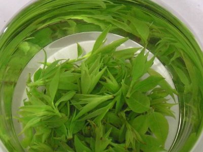 茶葉具有什么功效，茶葉的功效與作用大全