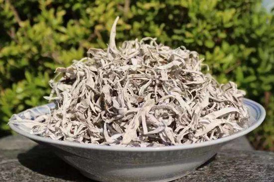 麗江雪茶的功效與作用，白雪茶有什么功效和作用