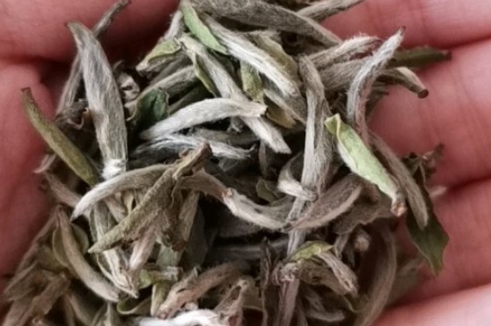 如何買茶葉不上當(dāng)，怎么買茶葉不被坑？
