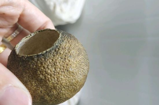 小青柑多少錢(qián)一盒，新會(huì)小青柑普茶價(jià)格一斤多少