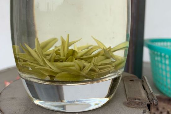 安吉白茶耐寒嗎，白茶適合放冰箱嗎