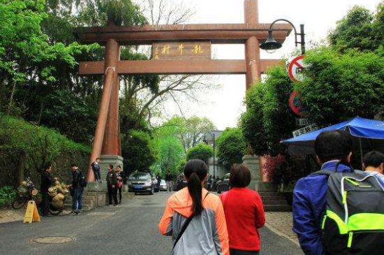 杭州買龍井茶攻略，怎么買到正宗的西湖龍井？