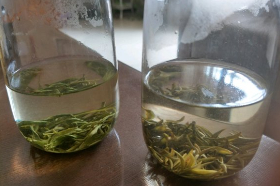 真假碧螺春泡水后區(qū)別，蘇州洞庭碧螺春怎樣鑒別好壞？
