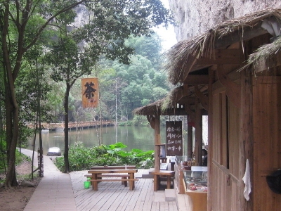 實體店買茶葉的技巧，新手買茶須知