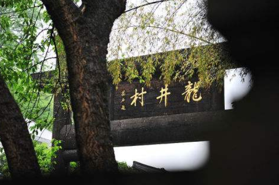 杭州買龍井茶攻略，怎么買到正宗的西湖龍井？