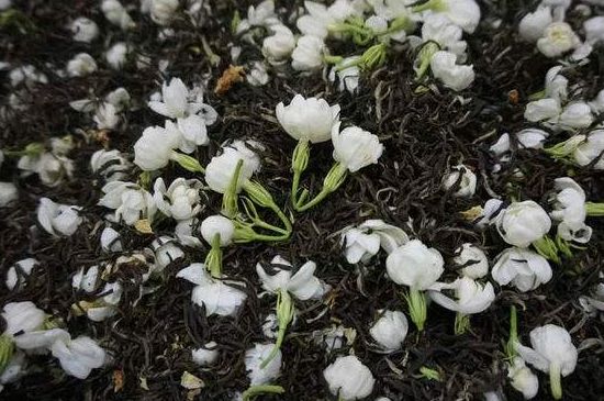 茉莉龍珠怎么做的，茉莉龍珠的制作工藝