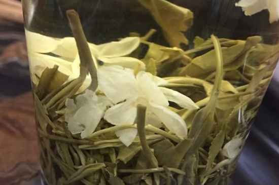 女孩喝茉莉茶的好處，茉莉茶葉的功效與禁忌