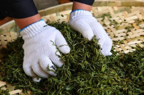 綠茶加工工藝流程圖，綠茶的加工制作包含哪幾個(gè)步驟？