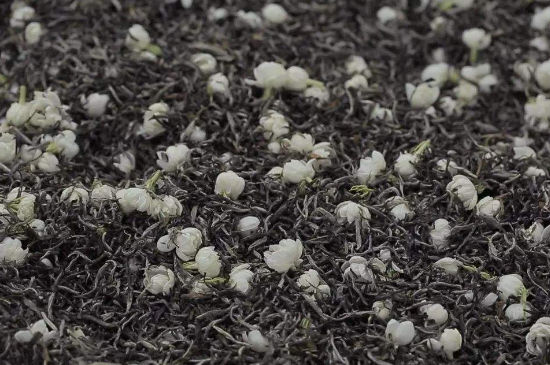 茉莉茶的種類和等級，茉莉花茶的分類