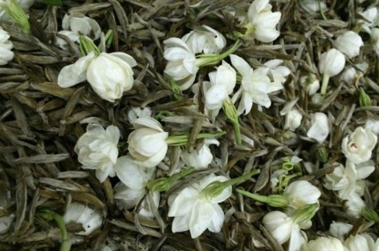 茉莉銀針口感，茉莉銀針是什么味道？