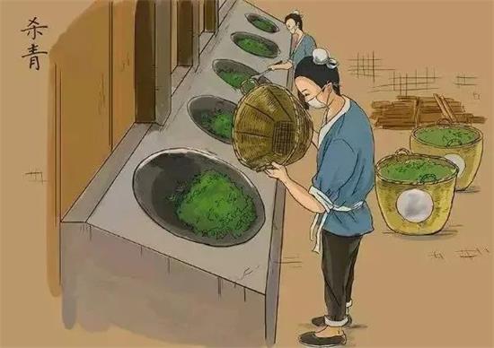 制茶八步驟，制茶工藝流程圖
