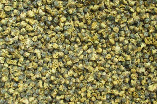 菊花茶大朵小朵有什么區(qū)別，菊花喝大朵還是小朵？