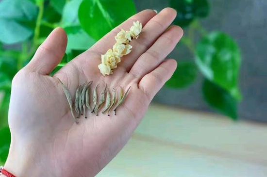 茉莉銀針口感，茉莉銀針是什么味道？