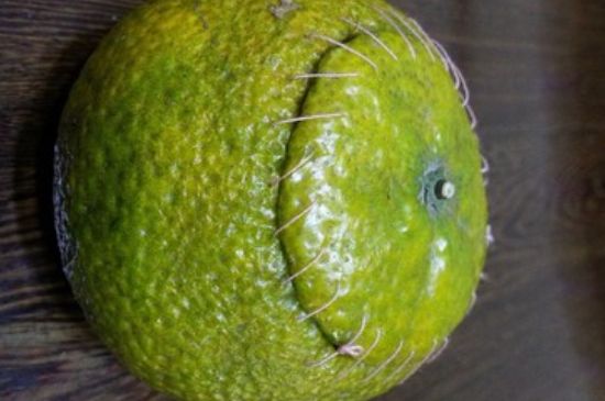 家庭自制柑普茶方法，小青柑制作9個步驟竅門（圖片）