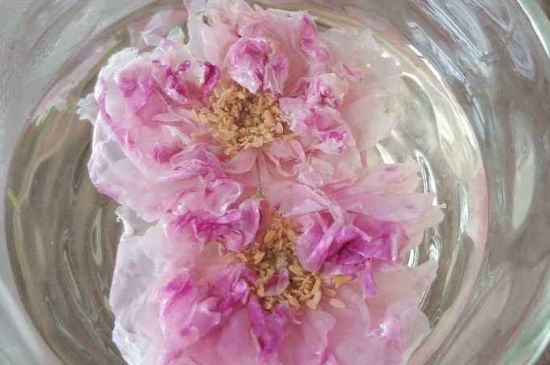 玫瑰花茶上火嗎，盲目喝玫瑰花茶易上火