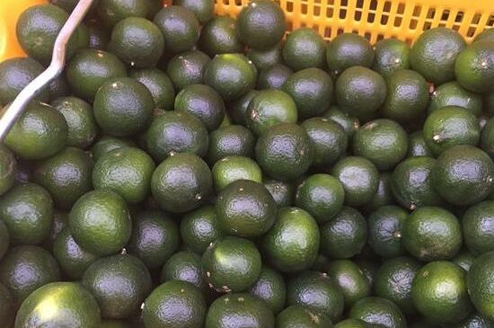 家庭自制柑普茶方法，小青柑制作9個步驟竅門（圖片）