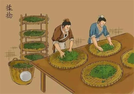 制茶八步驟，制茶工藝流程圖