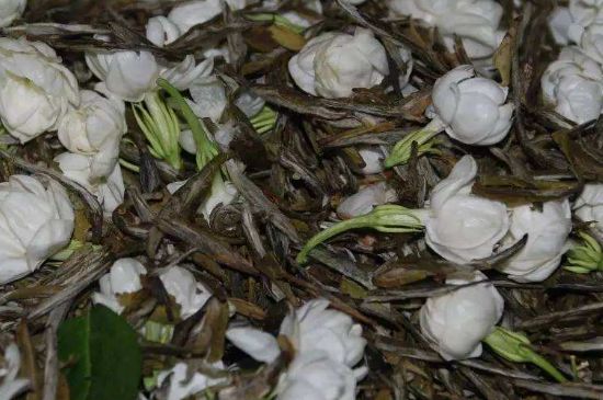 茉莉龍珠怎么做的，茉莉龍珠的制作工藝