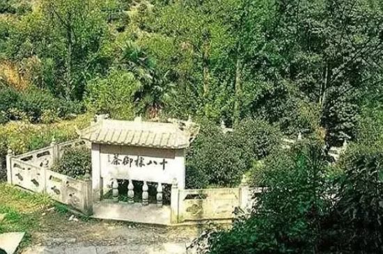 母樹大紅袍給誰喝了，為什么母樹大紅袍叫三棵六株？