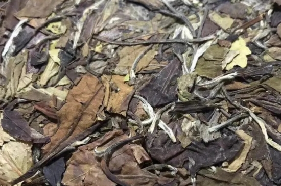 老白茶上火還是去火？夏季喝煮的老白茶會容易上火！