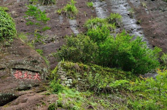 武夷巖茶大紅袍，喝起來是什么味道？