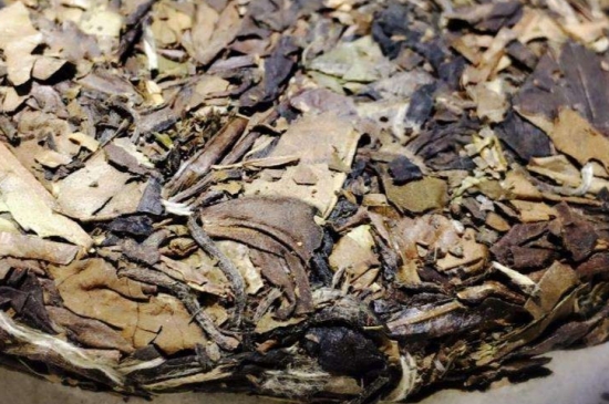 煮茶的步驟圖解，正確的煮白茶方法！