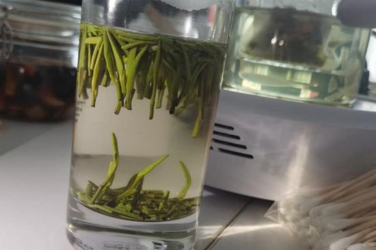 金壇雀舌算不算好茶，金壇雀舌屬于什么檔次茶葉？