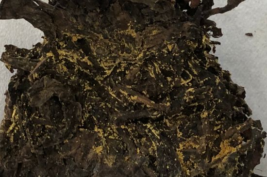 怎么知道涇渭茯茶是否變質，茯磚茶金花和發(fā)霉的區(qū)別
