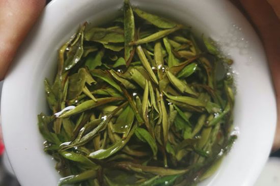 什么人不能喝白茶，白茶不宜什么人喝？