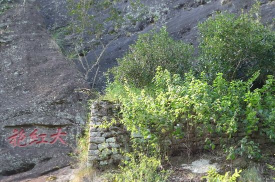 母樹大紅袍給誰喝了，為什么母樹大紅袍叫三棵六株？