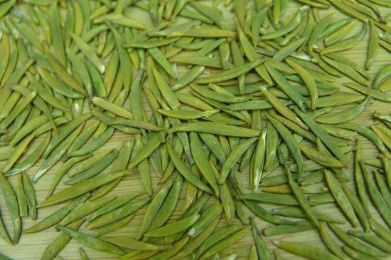 竹葉青和毛尖的區(qū)別，毛尖和竹葉青怎么分辨？