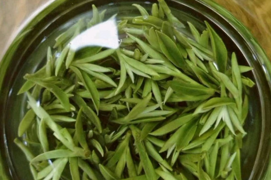 什么綠茶茶葉唇齒留香，哪個(gè)品種綠茶香氣好？