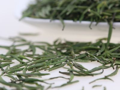 霍山黃芽算是好茶嗎，霍山黃芽屬于什么茶？