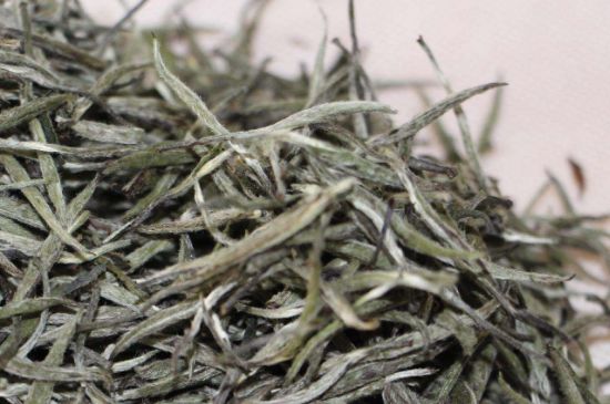 什么人不能喝白茶，白茶不宜什么人喝？