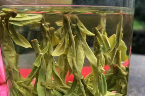 什么綠茶最香最好喝，綠茶口感與香氣排名