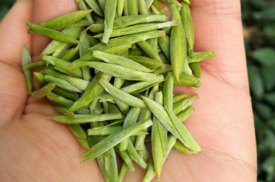 什么綠茶味道濃香，那個綠茶比較濃香？