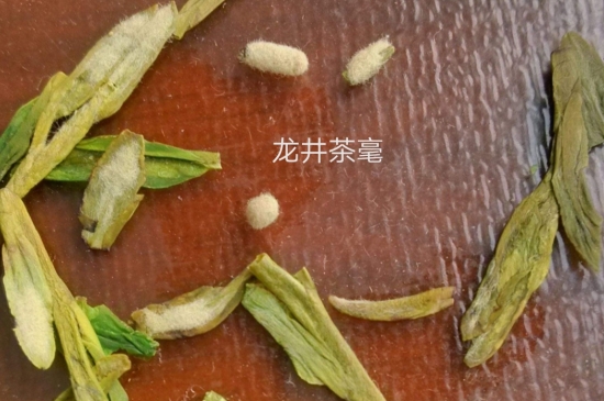 西湖龍井茶毫和發(fā)霉區(qū)別圖片，長(zhǎng)霉的龍井茶葉會(huì)是什么樣？