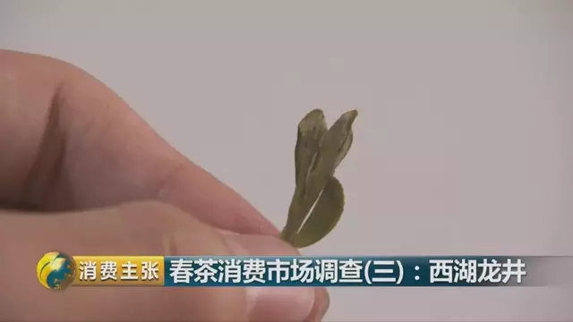 龍井群體種和43號的區(qū)別圖片，龍井43和群體種哪個好喝？