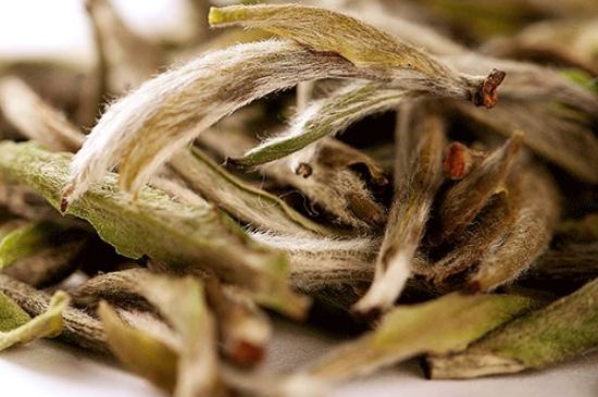 荒野銀針有什么特點，荒野銀針的味道口感咋樣？