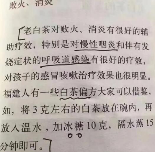 老白茶上火還是去火？夏季喝煮的老白茶會容易上火！