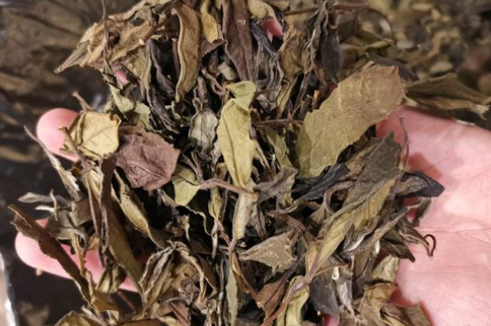 新舊白茶怎么區(qū)分，怎么分辨白茶是新還是舊